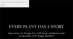 Desktop Screenshot of diegobonetto.com